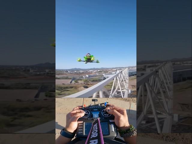 Chasing birds off a crane! #shorts #fpv #viral