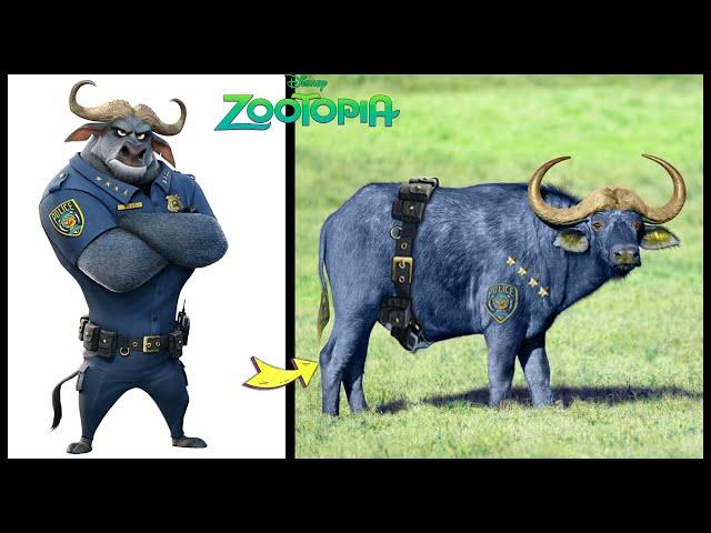 Zootopia Characters In Real Life And Other Favorites!