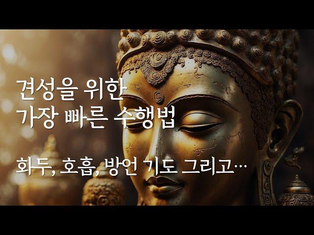 견성을 위한 가장 쉽고 빠른 수행법 | 화두, 호흡, 기도 수행법 요약 정리