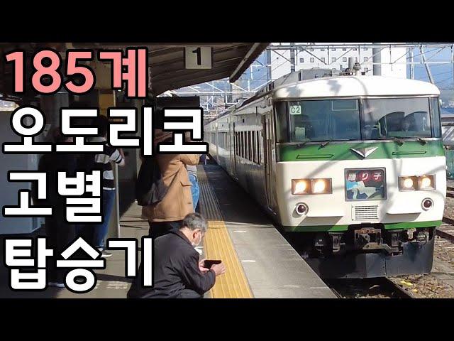 【일본철도】 국철 185계 특급 오도리코 고별 탑승기