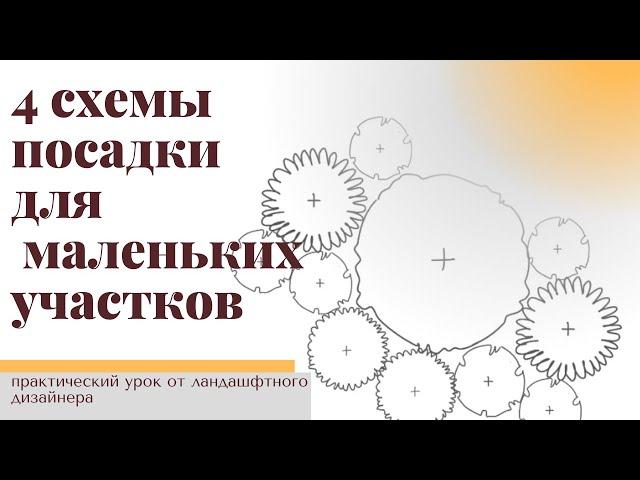 Как разместить МНОГОЛЕТНИКИ, КУСТАРНИКИ и РОЗЫ на маленьком участке? 4 схемы посадки.