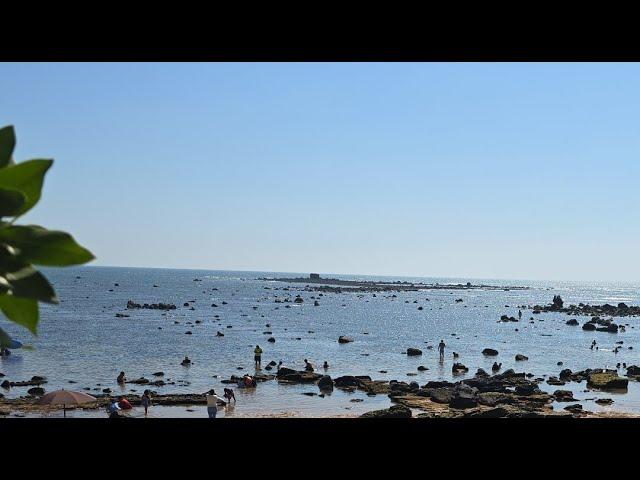 MOTO AVENTURAS EL SALVADOR  está de manteles largos y lo severamente la playa🫢