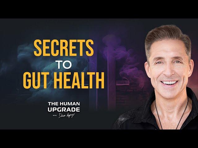 3 Experts Reveal the Secrets to Gut Health | 1200 | Dave Asprey