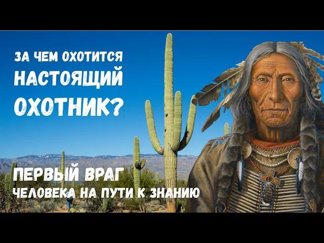 #1. Учение нагваля Карлоса Кастанеды: эффективная тактика жизни