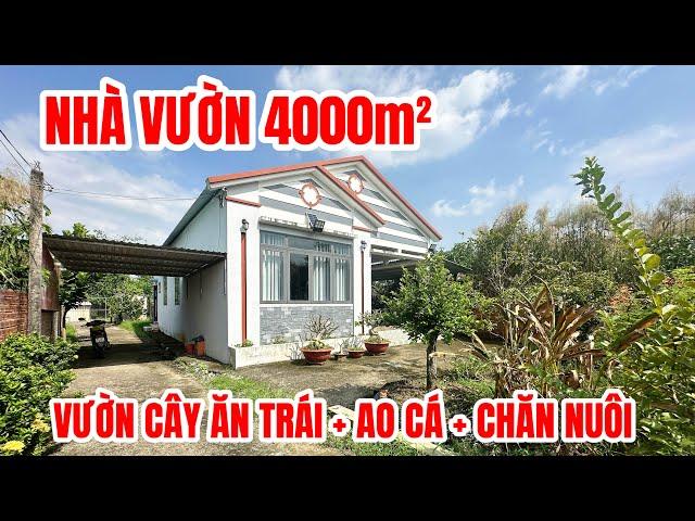 NHÀ VƯỜN VEN BÌNH CHÁNH MỚI NHẤT quá rẻ, vườn + ao + khu chăn nuôi rộng 4000m2, xe hơi đậu cửa nhà