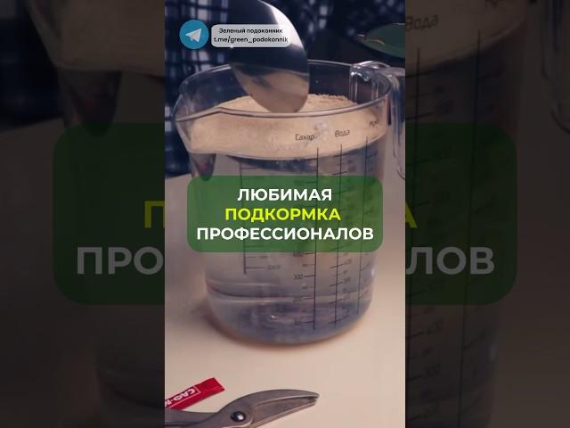Простая бюджетная подкормка для ваших растений#цветы #растения #сад #дача #лайфхак #огород #лайф