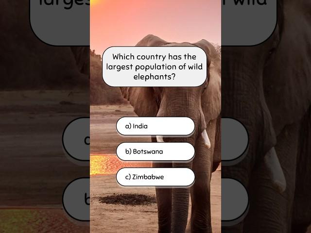 General Knowledge Trivia Quiz Part 26 | #generalknowledge #quiz #shorts