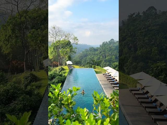 Fabulous 5-star jungle hotel in Bali  #travel #bali #ubud