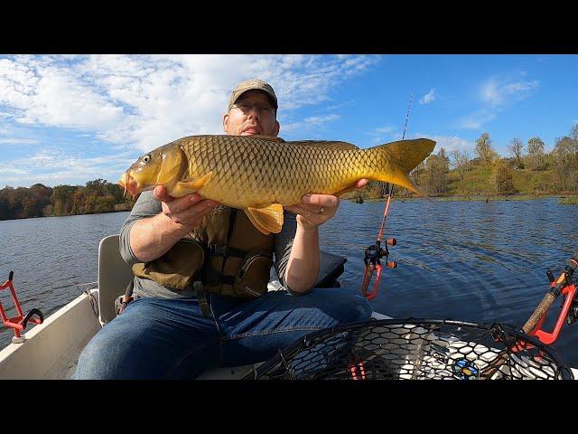 How to Catch Carp From a Boat - Fall Carp Fishing Tips and Tricks