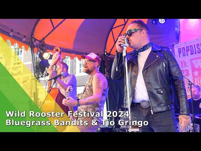 Wild Rooster Festival 2024 (Bluegrass Bandits & Tio Gringo)