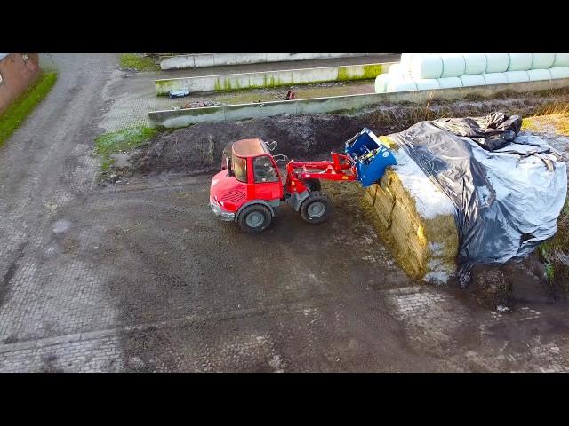 Zetor feeding cattle