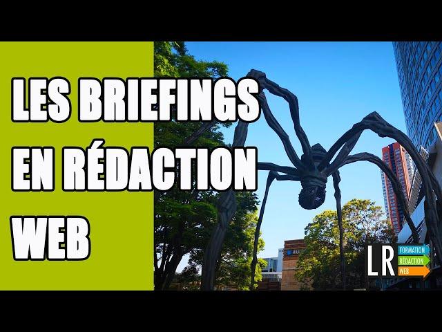 Les Briefings en Rédaction Web : À quoi ça ressemble ? 