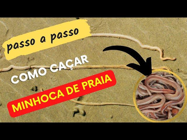 [Passo a passo] Como caçar minhoca de praia