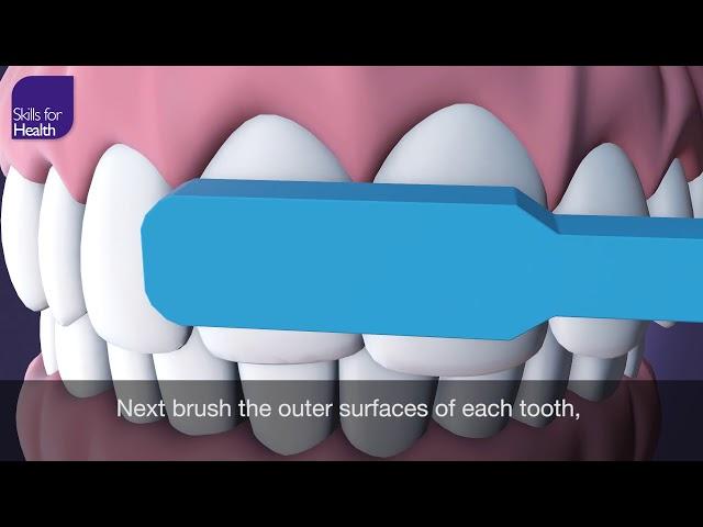 How to Brush Your Teeth Animation MCM