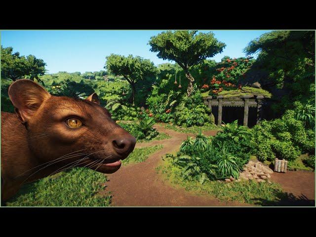 ️ Natural fossa habitat | Conuco Zoo | Planet Zoo | speedbuild