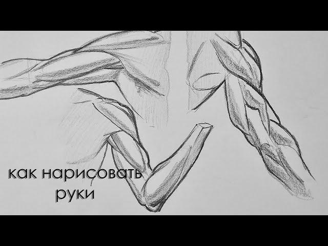 как рисовать руки как рисовать мышцы