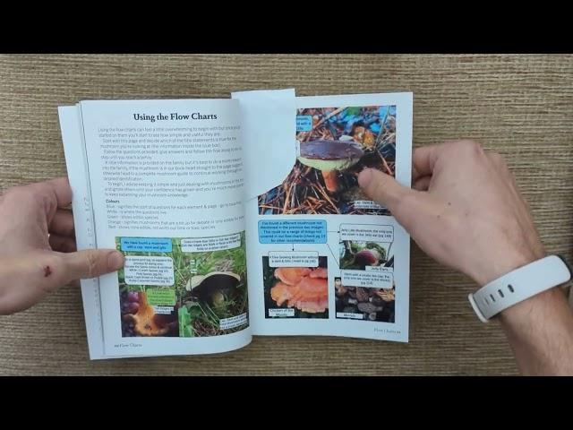 Identify Brittle Gills / Russula Mushrooms Using an Easy Flow Chart