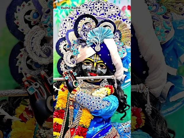 #krishna #lordkrishna #bankebihari #harekrishna #vrindavan #radharanibarsana #mathura #radheshyam