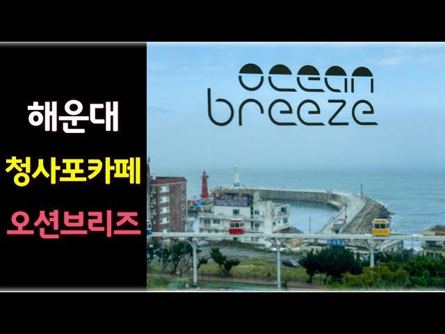 해운대 청사포 카페 오션브리즈 feat 오션뷰 해변열차