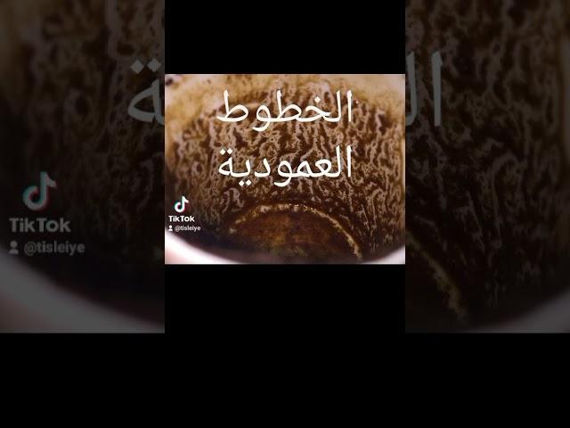 تعلم قراءة الفنجان او تعلم تبصير بالفنجان  يوجد بالفنجان رموز وكل رمز له معنى خطوط العمودية بالفنجان