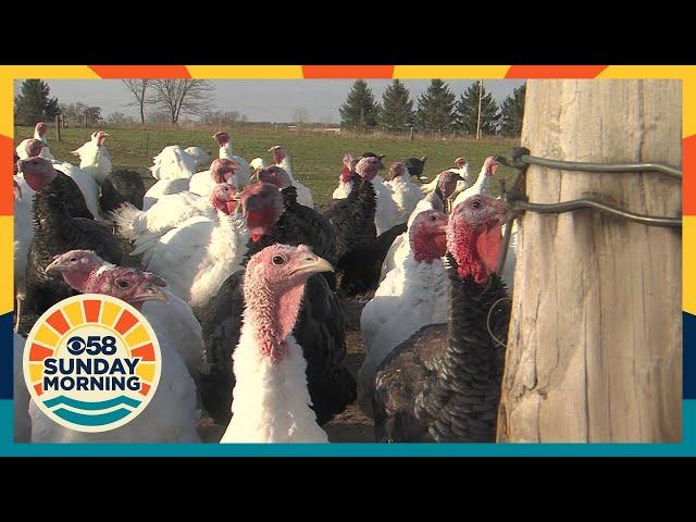 CBS 58 Sunday Morning: Turkey time