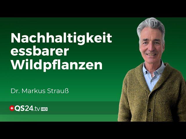 Die grüne Revolution: Die Bedeutung essbarer Wildpflanzen | Erfahrungsmedizin | QS24