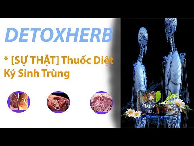 Detoxherb Diệt Ký Sinh Trùng Lừa Đảo? Mua Ở Đâu? Gía Bao Nhiêu?