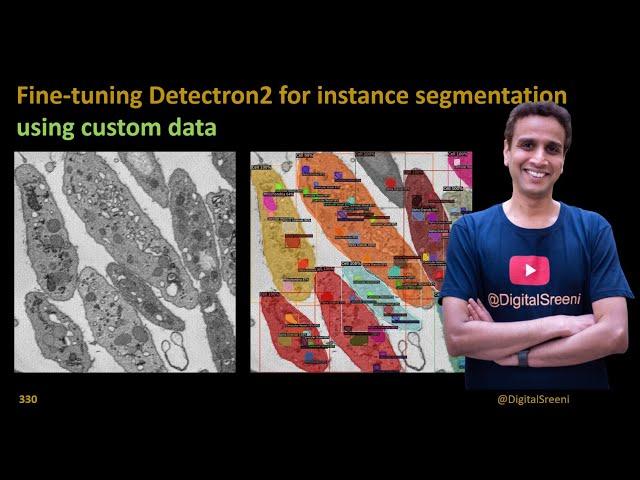 330 - Fine tuning Detectron2 for instance segmentation using custom data