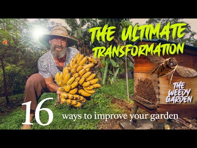 16 Ways to Improve your Garden in a Day