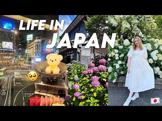 life in japan | summer hydrangea festival , bear onsen in shibuya, job update 