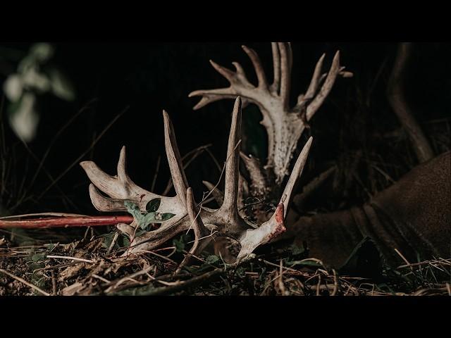 FREAK SHOW - The Largest Buck I’ve Ever Encountered | Mark V. Peterson Hunting