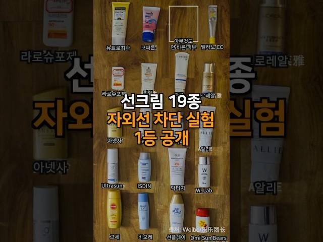 선크림 19종 자외선 차단 실험 1등 공개️ #선크림 #미백관리