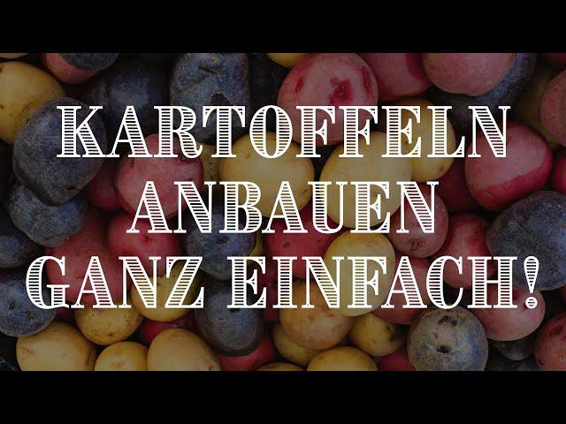 Kartoffeln einfach anbauen! So geht's