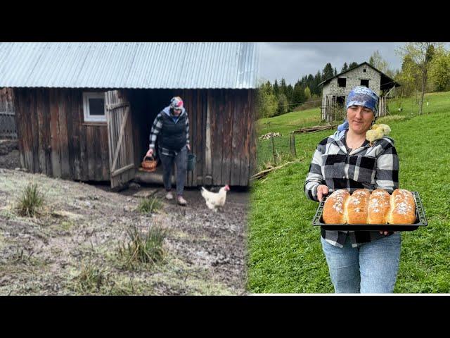 Rural life high in the mountains of Ukraine: "FULL VIDEO"21 day of incubation