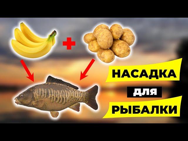 Насадка для рыбалки которая собирает всю рыбу. Не слетает с крючка.