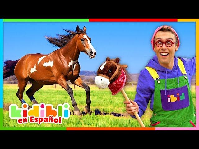 Aprendamos sobre Caballos | Videos Educativos para Niños | Kidibli