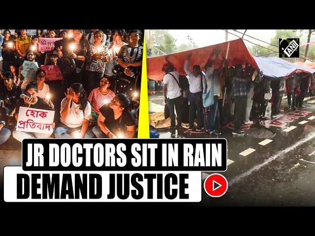 Junior doctors continue to protest in rain, demand justice for ‘Abhaya’ in Kolkata