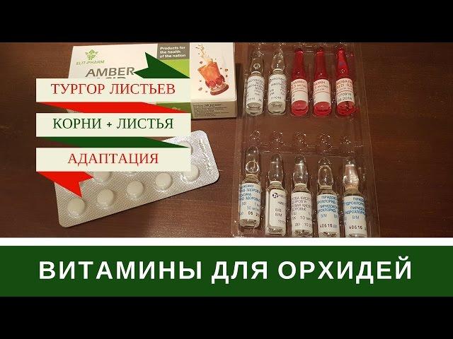 Витамины Для Орхидей + Витаминные Коктейли