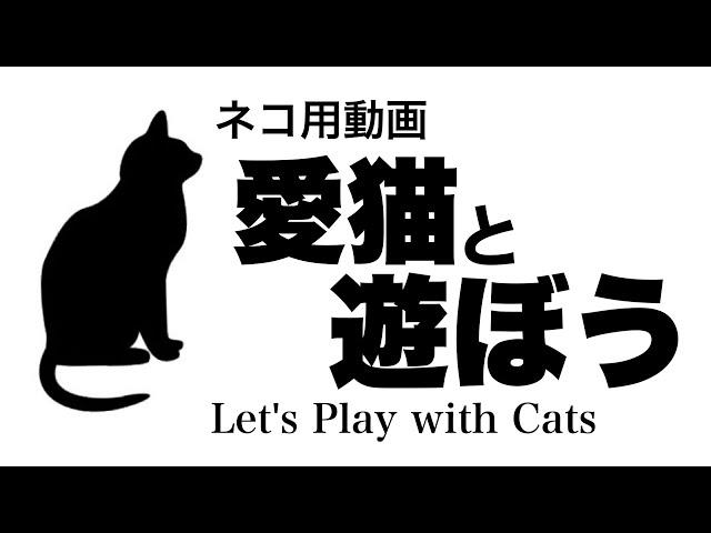 【ネコ用動画】愛猫と遊ぼう