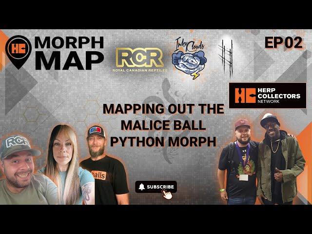 EP02 - Mapping Out the Malice Ball Python Morph