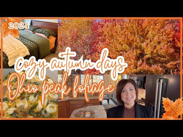 Cozy Autumn Days In The Life |  NEW Fall/Winter Bedding & Tuscan Soup 2024