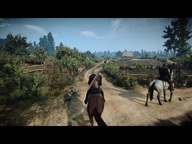 The Witcher 3 School of the roach + graphic mods