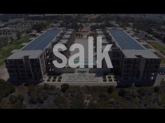 The Salk Institute: Where Cures Begin