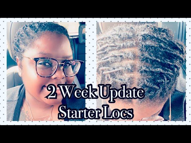 2 WEEK LOC UPDATE | STARTER LOCS | MY LOC JOURNEY