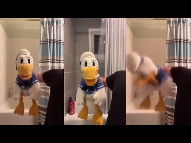 1 Hour And 39 Minutes Of Donald Duck FUNNIEST TikToks (DO NOT LAUGH OR SMILE CHALLENGE)