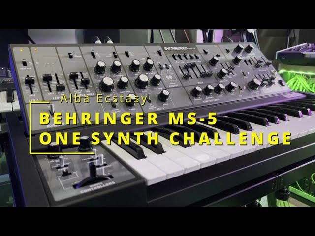 Behringer MS-5 - ONE SYNTH CHALLENGE