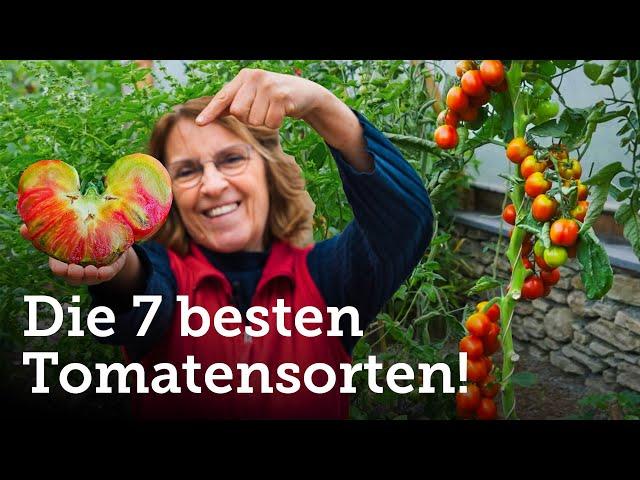 Tomatenliebe: Entdecke meine Top 7 Sorten! 