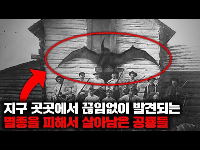 지구 곳곳에서 끊임없이 발견되는 멸종을 피해서 살아남은 공룡들 | 5월의 몰아보기