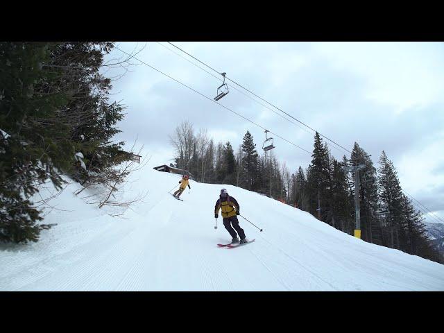 Ski the Trees: How to Practice for Tree Runs