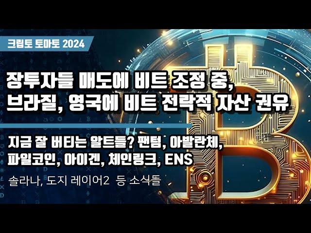 11/27) 장투자들 매도에 비트 조정 중, 브라질, 영국에 비트 전락적 자산 권유 지금 잘 버티는 알트들? 팬텀, 아발란체,파일코인, 아이겐, 체인링크, ENS